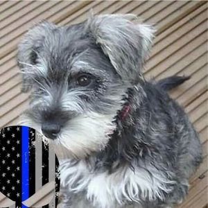 Meet your Posher, Betty